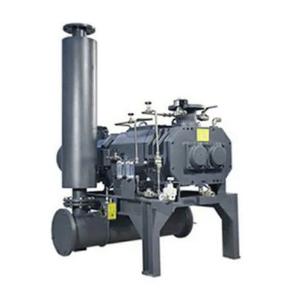 vacuum pump combines with Screw vacuum pumps