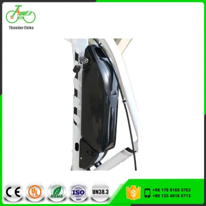 Electric Mountain Bikes with 250W-8Fun Brand Motor