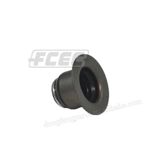 Original Foton ISF2.8 Engine Oil Seal 4976170 with Good Price