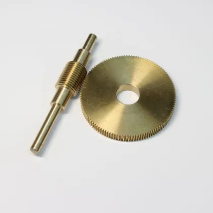 Customized CNC Machining Services for Small Worm Drive Gears in China