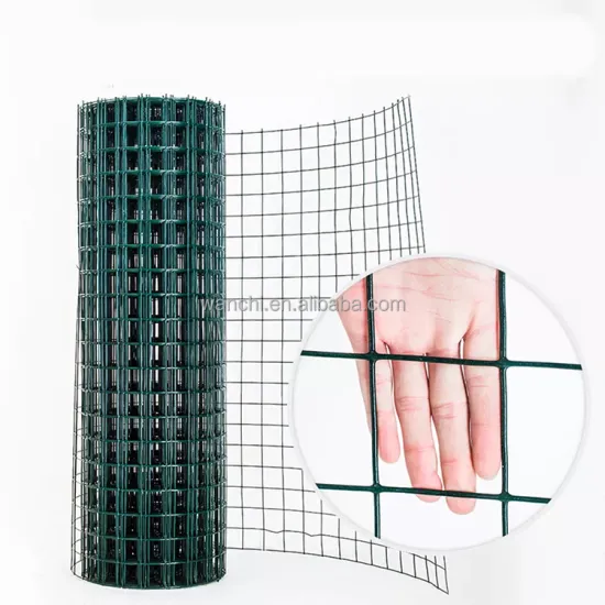 Welded Wire Mesh Roll 1x1 2x2 for Poultry Farm Netting
