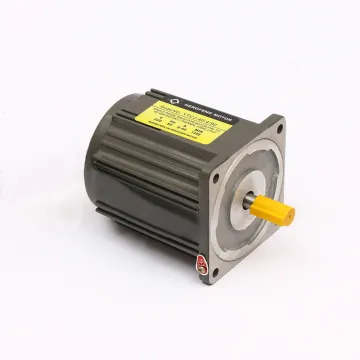 AC Motor 25W 110V/220V Reversible Small AC Motor