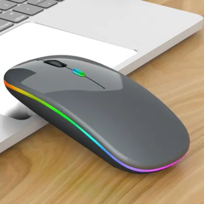 Portable Wireless Ergonomic RGB Backlit Mute Gaming Mouse