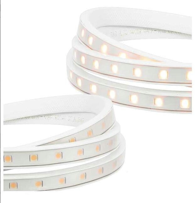 110V 120V Hybrid 2 LED Strip light