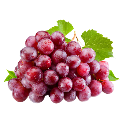 Grape Seed Extract Cosmetics material