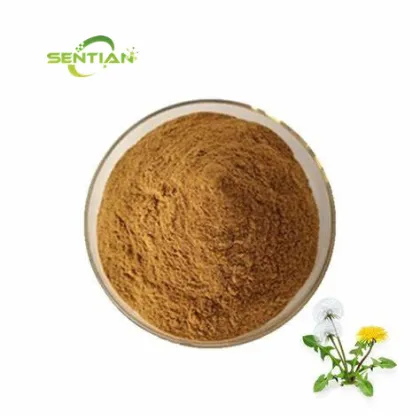 Wild Plant Extract Dandelion Extract