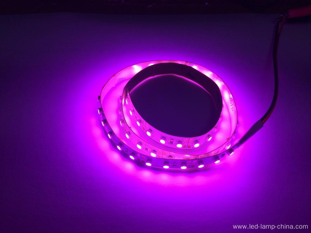 Hottest SMD3528 Pink LED Strip  Light