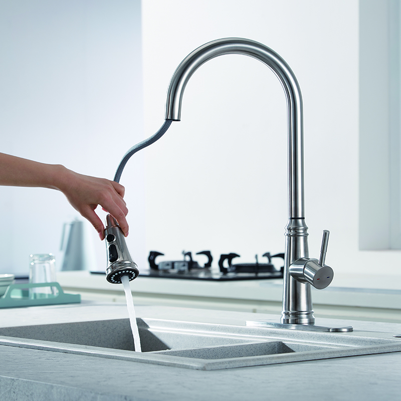 Satinless Steel Nickel Dual Function Kitchen Faucet