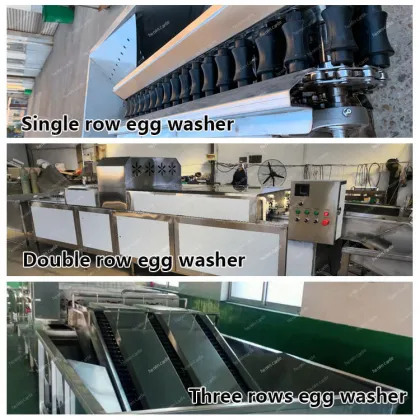 Egg Grading and Candling Machine for Small Farms