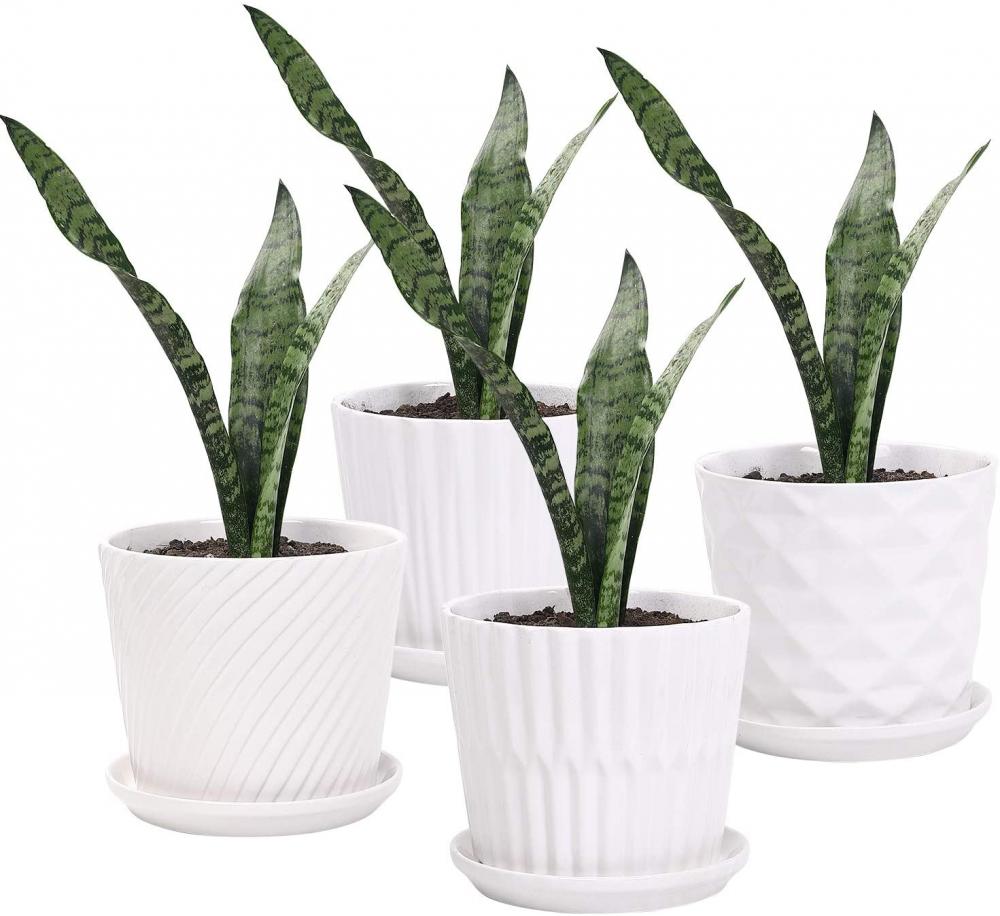 5.5 Inch Cylinder Ceramic Planters with Connected Saucer