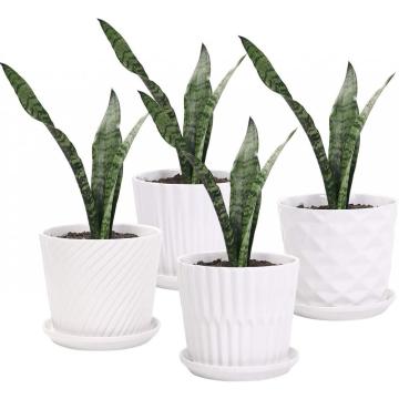 5.5 Inch Cylinder Ceramic Planters with Connected Saucer