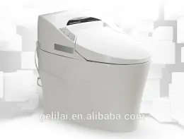 Hot Sale One Piece Automatic Toilet