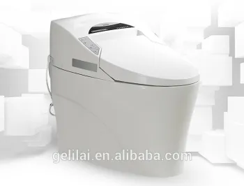 Hot Sale One Piece Automatic Toilet