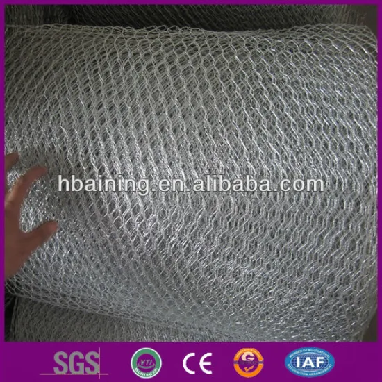 zinc coated hexagonal wire mesh/chicken wire mesh(factory)