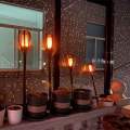 Luzes de jardim de chamas solares à venda