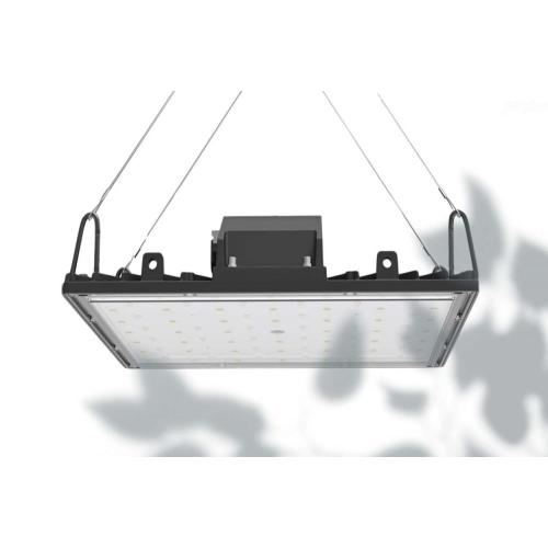 LED Grow Light 660nm Spectrum para floración