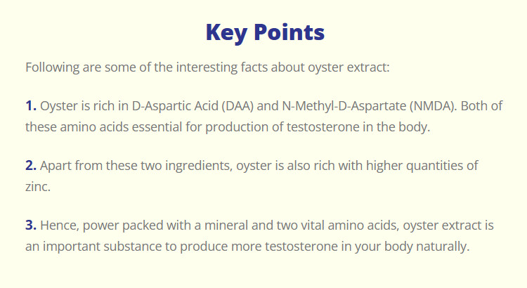 Key Points Of Oyster Extract