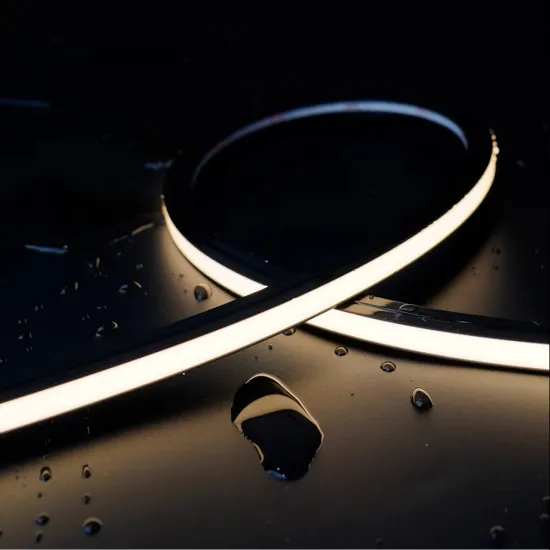 SHINESKY Black Neon RGB LED Strip Light, DC24V, 10x10mm, Waterproof IP67