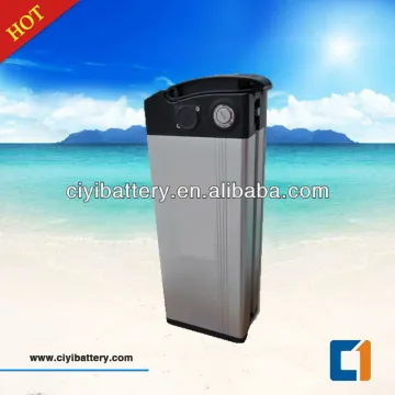 Hot Sales E-Bike LI-FE LIFEPO4 battery 48v 10ah