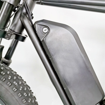C91adulut Model 26 Inch Electric Mountain Bikes