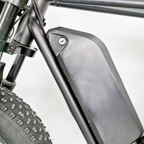 C91adulut Model 26 Inch Electric Mountain Bikes