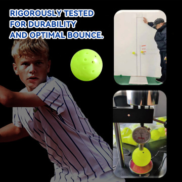 Best-Selling Class Quality Smart Pickle Ball Paddles Set
