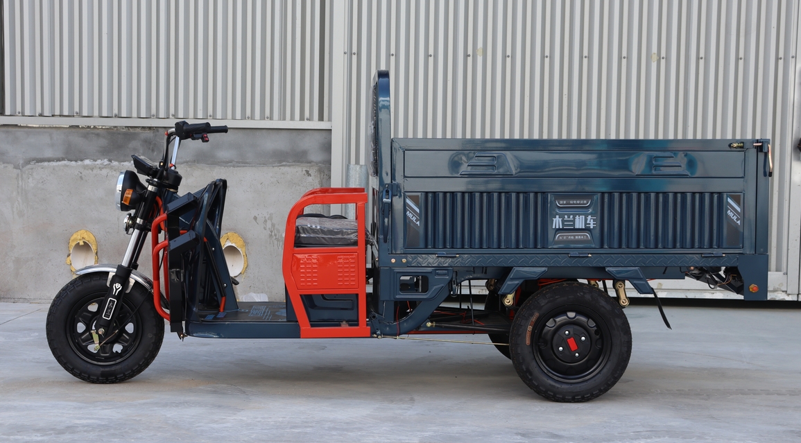 Manned Electric Tricycle