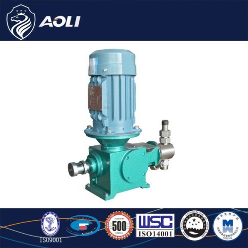 Small plunger metering pump