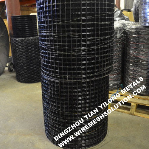 Black PVC Coated Welded Wire Mesh for Lobster