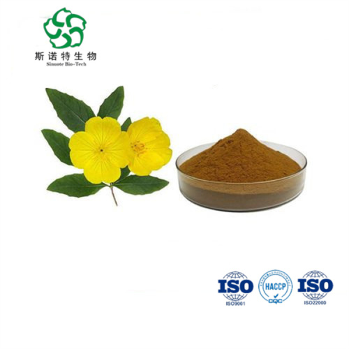 Venta en caliente Evening Primrose Extract Powder