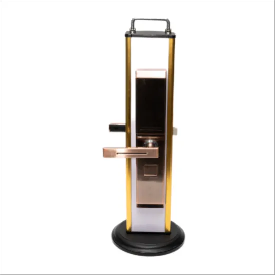 Smart Multifunction Automatic Induction Lock