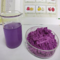 Purple Sweet Potato Powder for Supplement