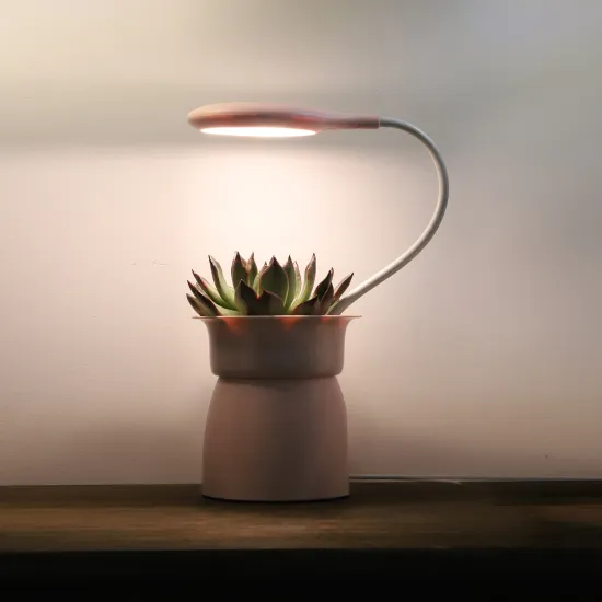 Mini Clip-On Planter with Grow Lamp and Timer for Indoor Succulent Gardens