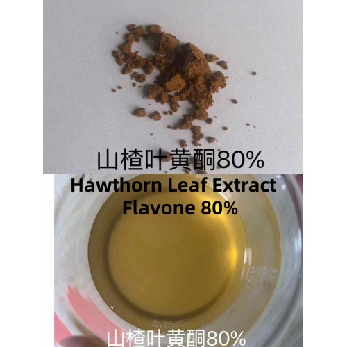 Hawthorn Extract Powder Hawthorn Flavonoids