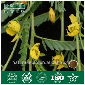 Cassia Nomame Extract For Dietary Supplement