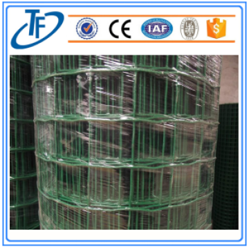 welded wire mesh panel/plastic coated holland wire