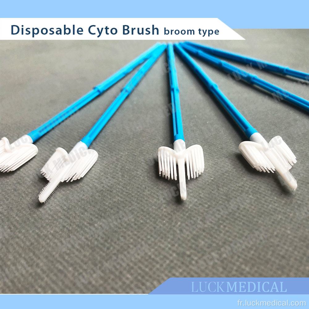 Disposable Cyto Brush Broom Style Broom Forme