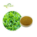 /msite/products/detail/productid/66497320/id/1521433.html