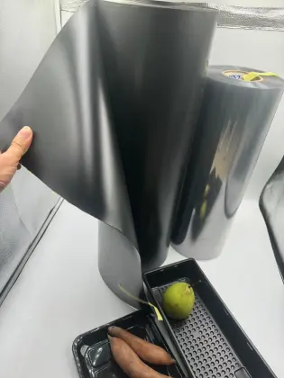 PET fruit tray plastic fruit tray