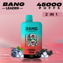 Best Disposable Pod Brands Bang Vape Leader 45k Puff
