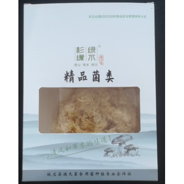 Deliciosas flores grandes secas