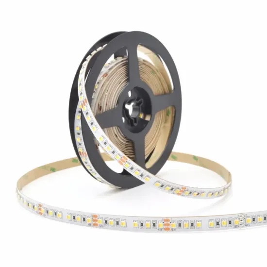 SMD3528 Dual White 2-in-1 LED Strip Lighting - DC24V High Brightness Tunable CCT Flexible Strip