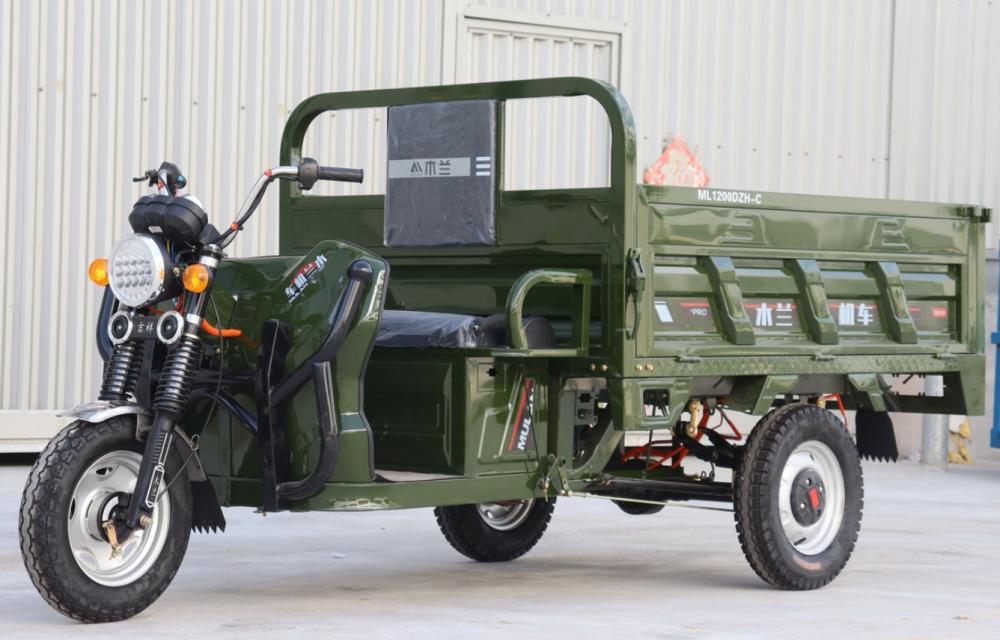 Tricycle électrique de cargaison légère LED