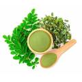 Organic Moringa Leaf Extract