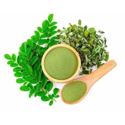 Organic Moringa Leaf Extract