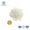 Wholesale Echinacea Purpurea Herbal Extract Powder