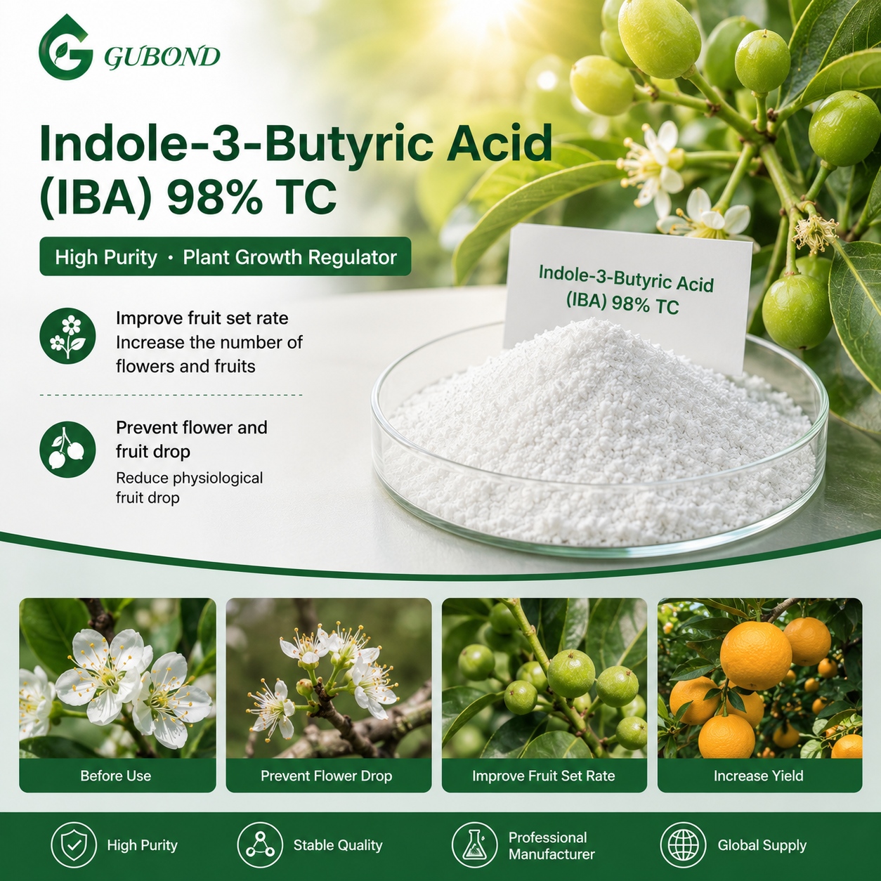 Indole-3-Butyric Acid (2)