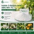 Indole-3-Butyric Acid IBA 98% TC لتركيبات تنظيم التجذير ونمو النبات