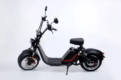 EEC/COC Electric Citycoco Motorcycle