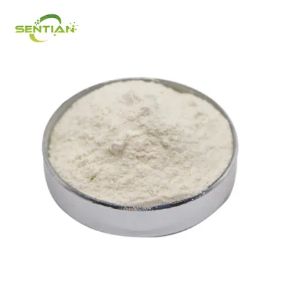 Premium Wheat Protein Isolate from Natural Plant Sources